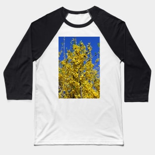 Yellow Forsythia tree in bloom Baseball T-Shirt